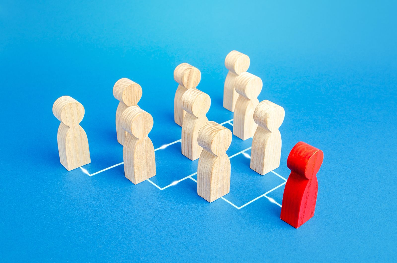 Mesleki Gelişim Programı Nedir ?